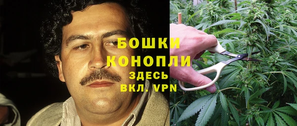 молекула духа Алексин