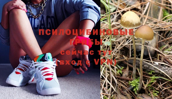 молекула духа Алексин