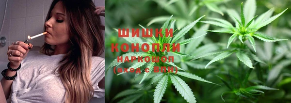 стафф Няндома