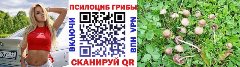 Псилоцибиновые грибы Magic Shrooms Ленинск-Кузнецкий